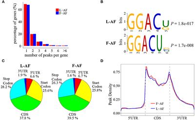 Profiling of RNA N6-Methyladenosine Methylation Reveals the Critical Role of m6A in Chicken Adipose Deposition